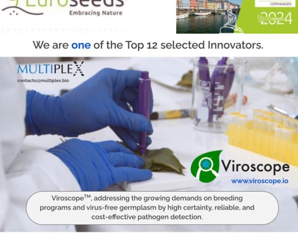 Multiplex entre los 12 finalistas del Euroseeds 2024 InnovActionStage: Innovación de vanguardia en diagnóstico fitosanitario para la comercialización de material vegetal libre de patógenos virales.