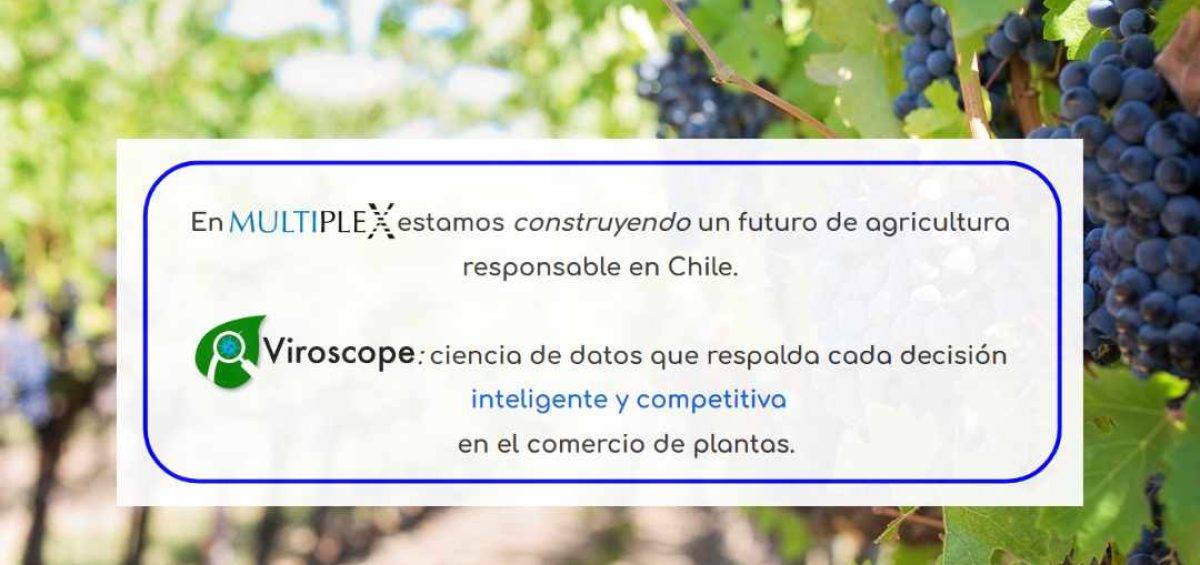 Multiplex y Viroscope, aseguramos material vegetal libre de virus y viroides