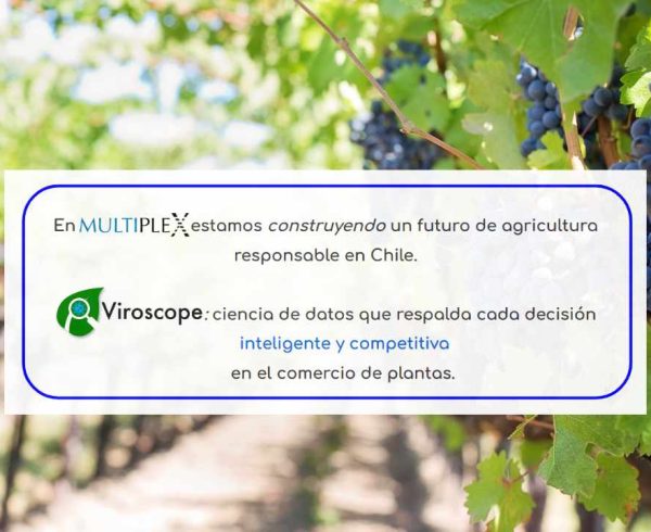 Multiplex y Viroscope, aseguramos material vegetal libre de virus y viroides